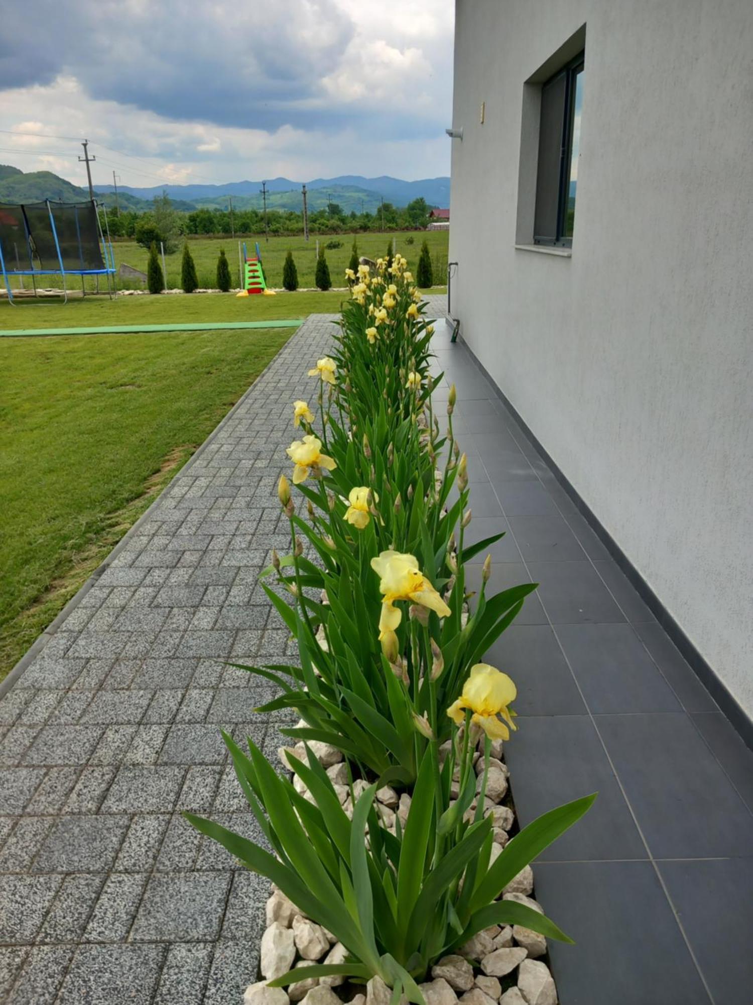 Casa Ambientt Otel Albestii de Arges Dış mekan fotoğraf